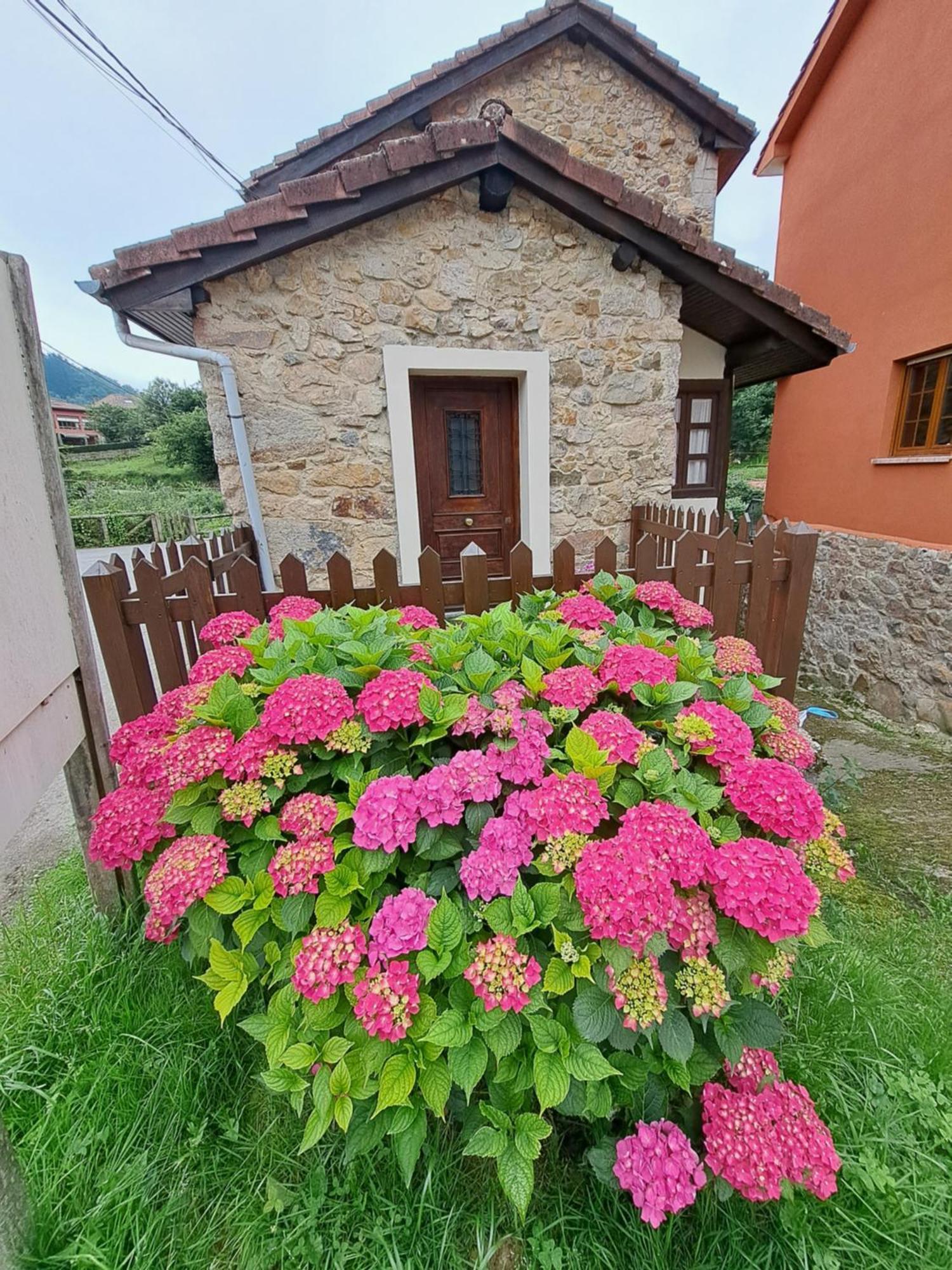 Casa Rural El Puente De Agues Soto De Agues Ngoại thất bức ảnh